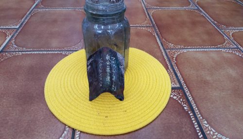 “Cápsula do tempo” enterrada no ano de 1955 é encontrada em Adamantina