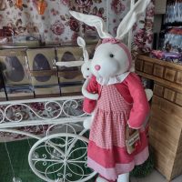 WhatsApp Image 2021 03 25 At 19.22.45 (1)