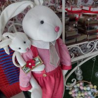 WhatsApp Image 2021 03 25 At 19.22.45