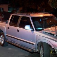 Img Bate Arvore Momentsddg