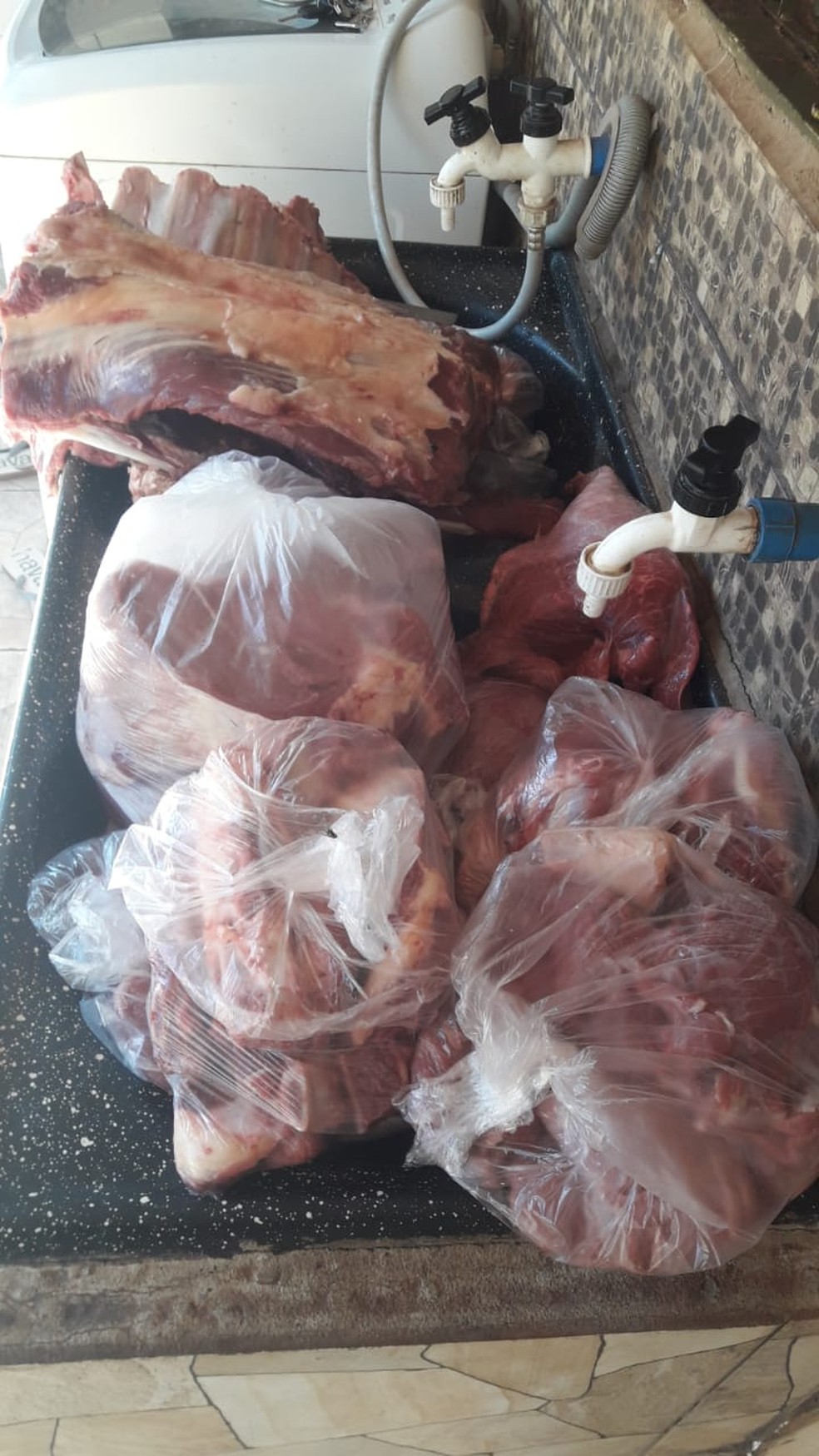 Operação policial apreende mais de 130 quilos de carnes bovina e suína preparadas em quintal de residência em Narandiba