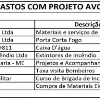 Pai Despesaspng1617047786606230eacd99f