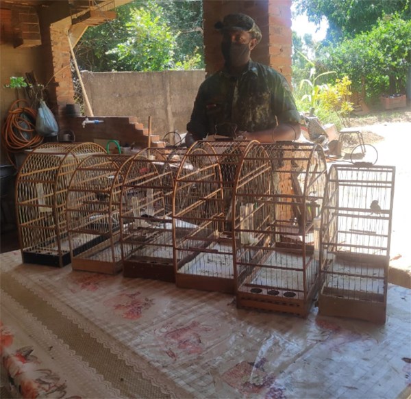 Polícia Ambiental liberta aves e autua homem em R$ 3 mil