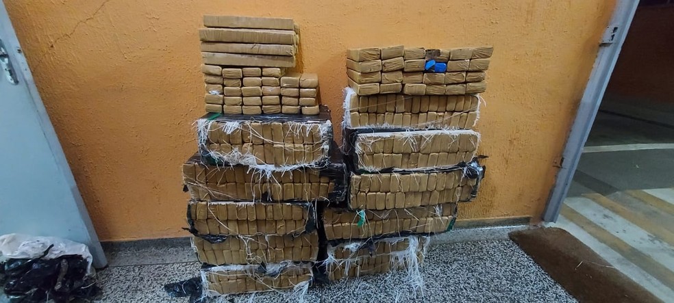 Polícia apreende 354 kg de drogas e detém sete pessoas por tráfico em Presidente Epitácio