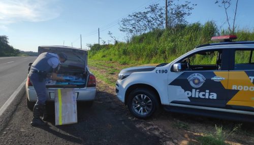 Fiscalização da Polícia Rodoviária na SP-294 apreende produtos oriundos do Paraguai