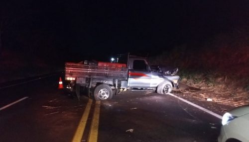 Caminhonete atropela cavalo na Rodovia Comandante João Ribeiro de Barros em Junqueirópolis