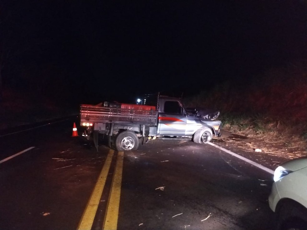 Caminhonete atropela cavalo na Rodovia Comandante João Ribeiro de Barros em Junqueirópolis