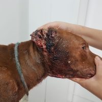 Whatsapp Image 20210308 At 172848jpg1615634373604c9fc5b8c3d