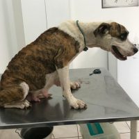 Whatsapp Image 20210308 At 172850 2jpg1615634455604ca017d0697