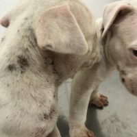 Whatsapp Image 20210308 At 172850 3jpg1615634468604ca024f3897