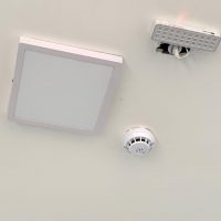 Whatsapp Image 20210329 At 155949 1jpg161711447160633567867b5