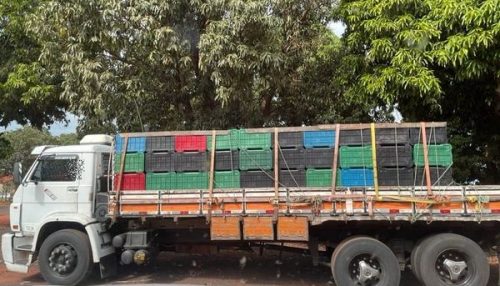 Polícia Civil detém motorista de caminhão e apreende 100 tijolos de cocaína