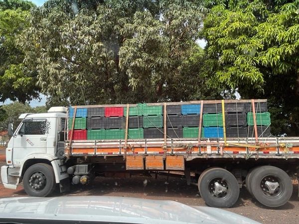 Polícia Civil detém motorista de caminhão e apreende 100 tijolos de cocaína