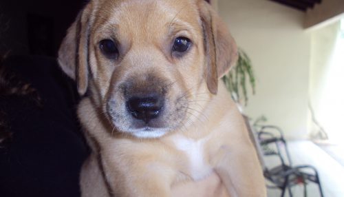 Província, datas comemorativas e 