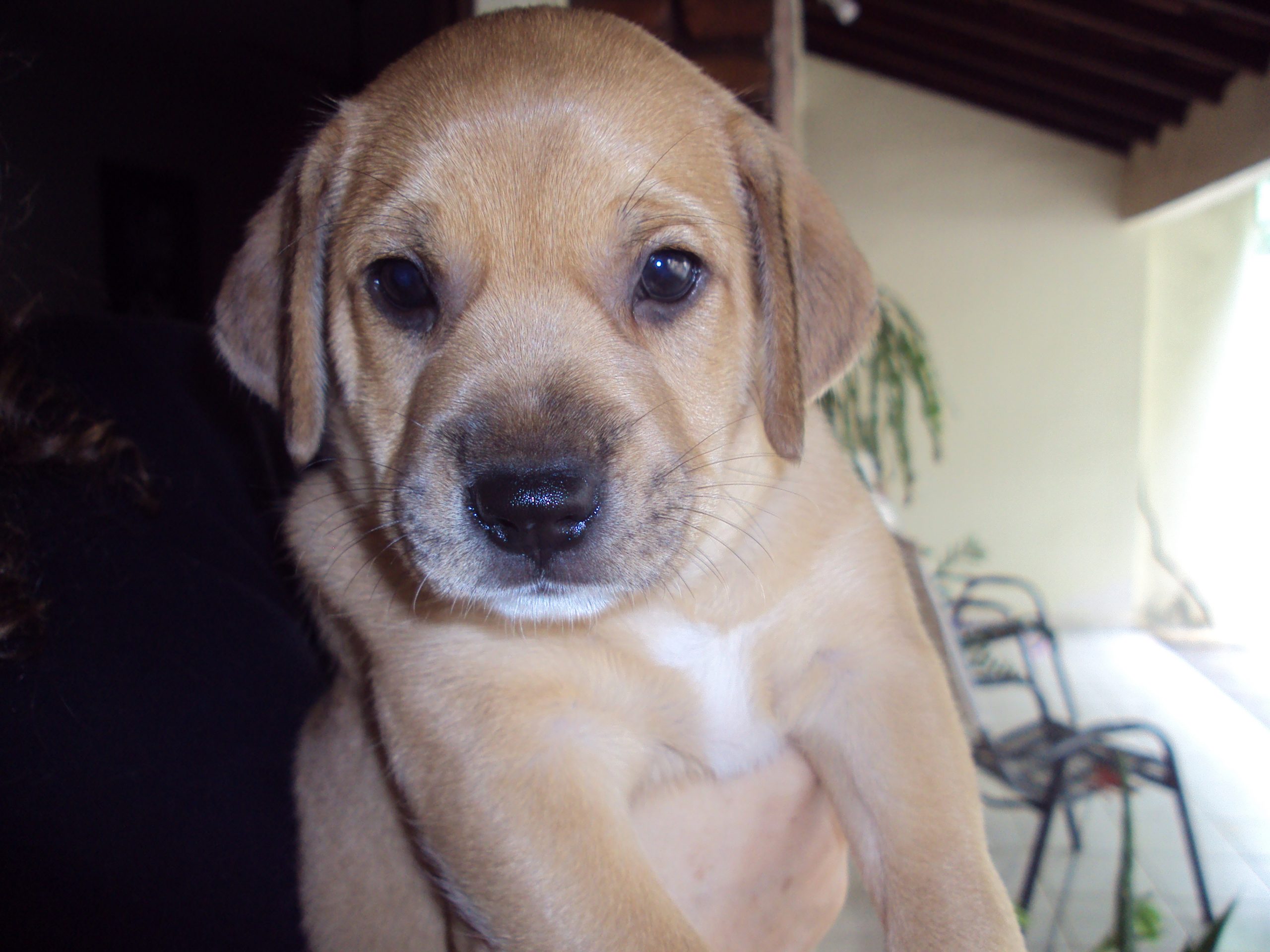 Província, datas comemorativas e 