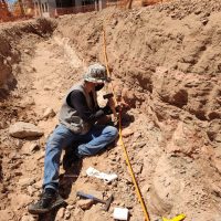 Fossil 3jpg161850684060787458299d2