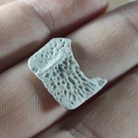 Fragmentosseo51115141309ojpg1618506954607874cab3189