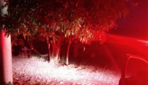 Homem é encontrado morto no quintal de casa em Flórida Paulista