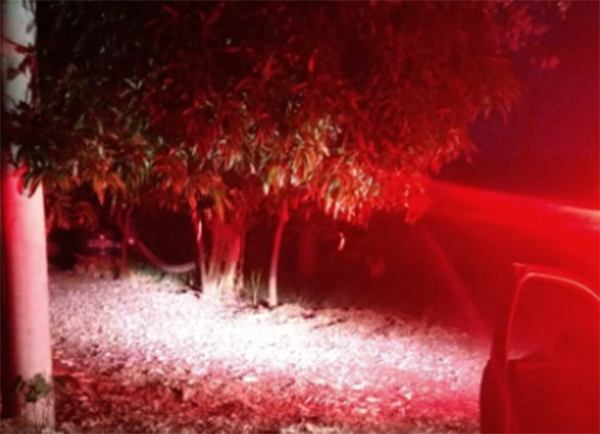 Homem é encontrado morto no quintal de casa em Flórida Paulista