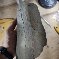 Membrodedinossaurosaurpode51114824732ojpg1618507025607875116fbb0