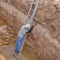 Paleontlogoescavareasedimentada51114824692ojpg1618506881607874817fb1e