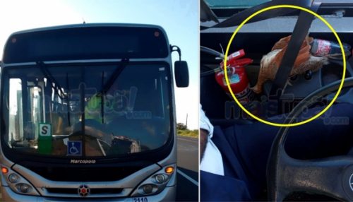 Motorista de ônibus fica ferido após ser atingido por uma perdiz na SP-294