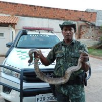 Whatsapp Image 2021 04 03 At 19.38.22 2 