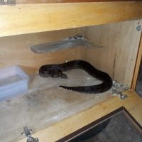 Whatsapp Image 2021 04 03 At 19.38.22