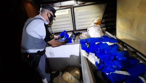 Homem é preso após fiscalização em caminhão-baú encontrar 590 kg de maconha em freezers