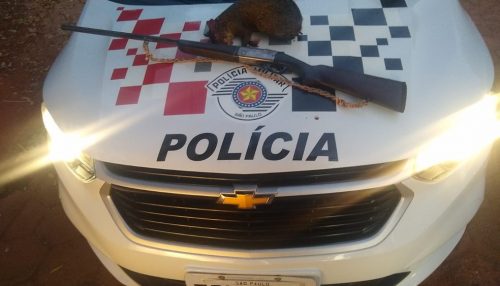 Homem é multado em R$ 5 mil por transporte de animal silvestre abatido oriundo de caça, em Paulicéia