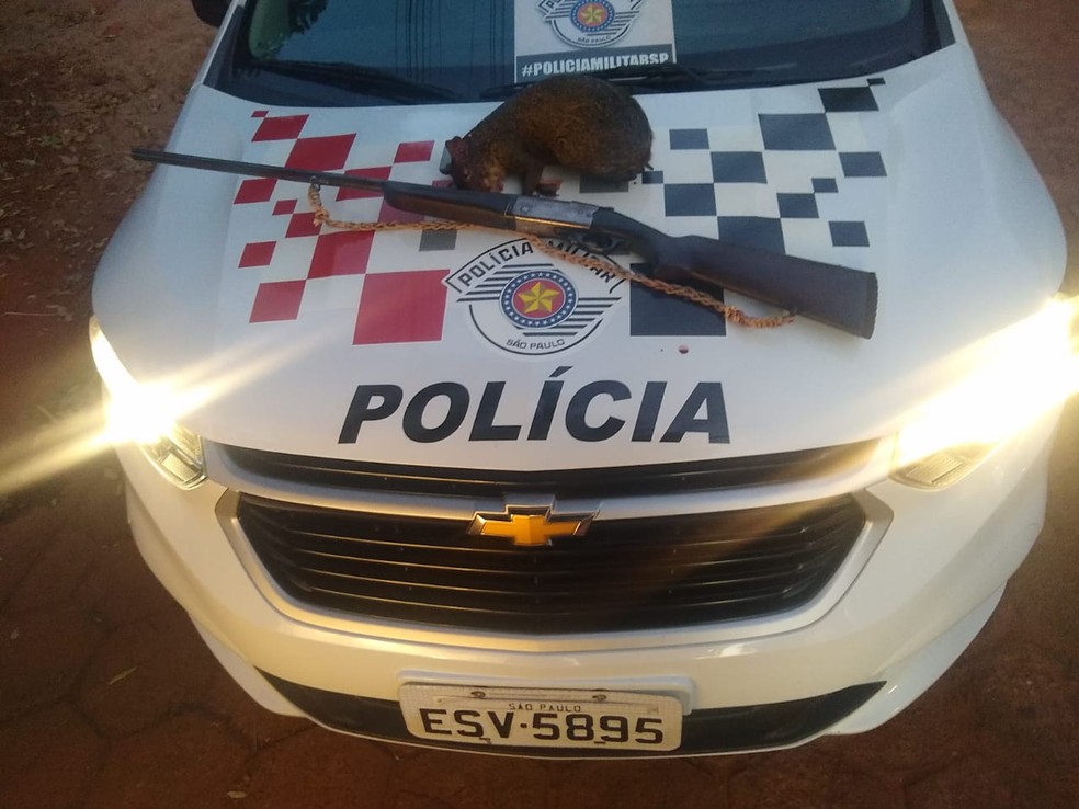 Homem é multado em R$ 5 mil por transporte de animal silvestre abatido oriundo de caça, em Paulicéia