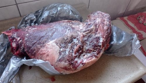 Morador de Pirapozinho é autuado em R$ 3,1 mil por ter 6,3 quilos de carne de capivara em freezer