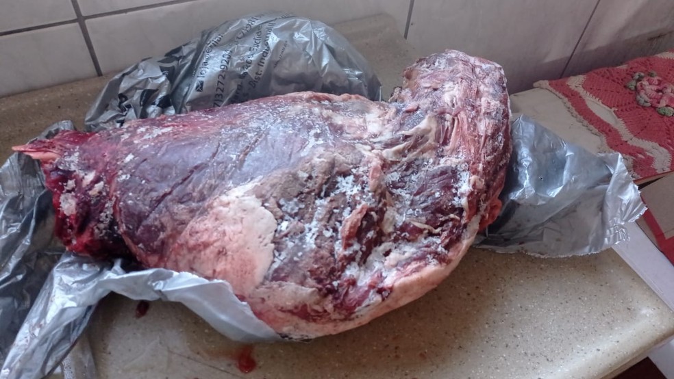 Morador de Pirapozinho é autuado em R$ 3,1 mil por ter 6,3 quilos de carne de capivara em freezer