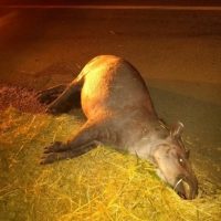 Whatsapp Image 2021 04 29 At 06.43.50 1