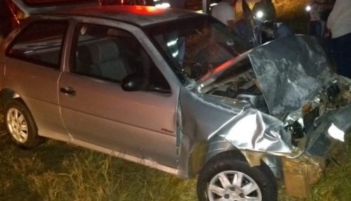 Anta morre após ser atropelada por carro
