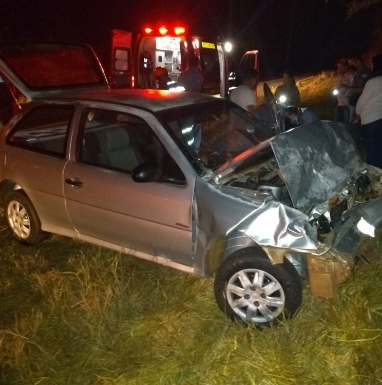 Anta morre após ser atropelada por carro