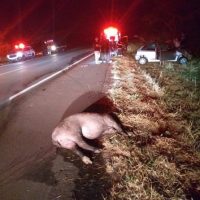 Whatsapp Image 2021 04 29 At 06.43.51