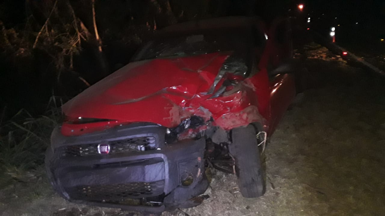 Homem colide em árvore na vicinal que liga Adamantina e Mariápolis