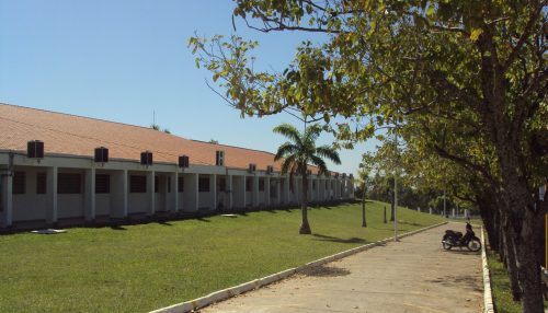 Governo Estadual propõe “Vacina Contra a Fome”. (*)