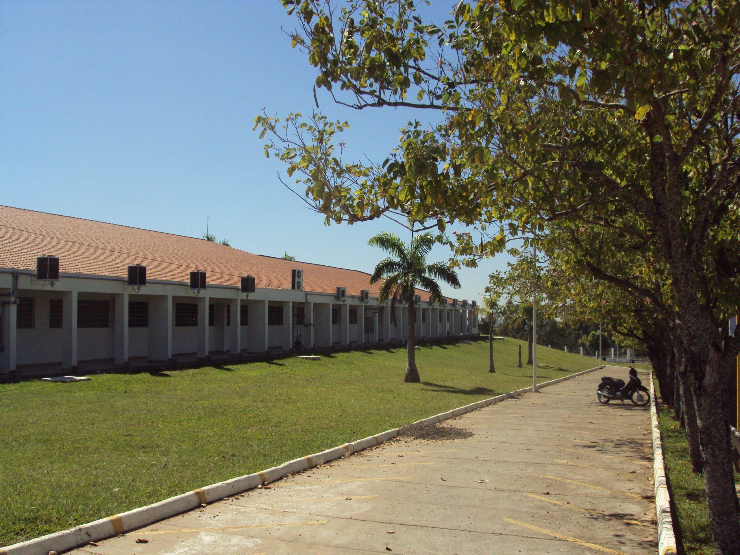 Governo Estadual propõe “Vacina Contra a Fome”. (*)