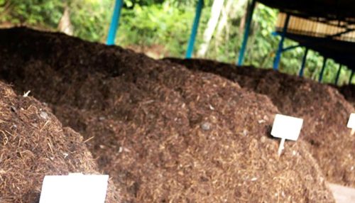 Contratada empresa para construção de barracão de compostagem no Aterro Sanitário Municipal