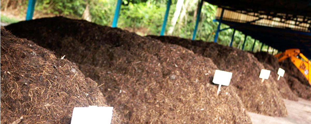 Contratada empresa para construção de barracão de compostagem no Aterro Sanitário Municipal