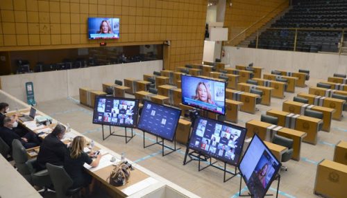 Alesp aprova projeto que proíbe queima e comercialização de fogos de artifício no estado de SP