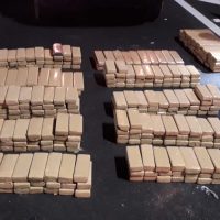 B854498a 31f1 4b4e Bb53 07e3c50558c5