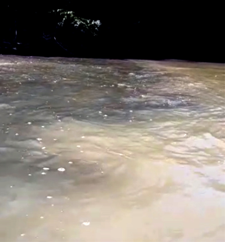 Após denuncias, Ministério Público e Polícia Ambiental averiguam suposta poluição e morte de peixes