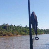 E9a8fa1e 2234 4343 A890 01f782c354fd