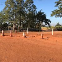 Estrada Lucelia 1jpg162117853360a138a50a7a4