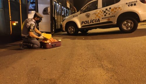 Durante vistoria em ônibus, polícia localiza 15 tabletes de maconha em mala