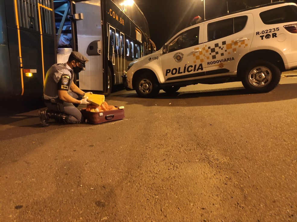 Durante vistoria em ônibus, polícia localiza 15 tabletes de maconha em mala