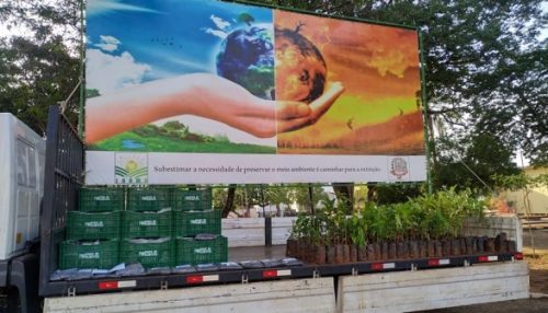 Prefeitura distribui mudas nativas e frutíferas na praça Élio Micheloni, nesta segunda-feira